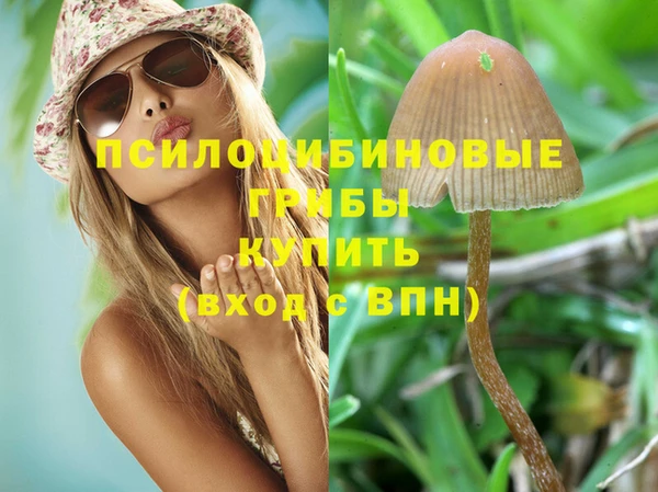 ПСИЛОЦИБИНОВЫЕ ГРИБЫ Армянск