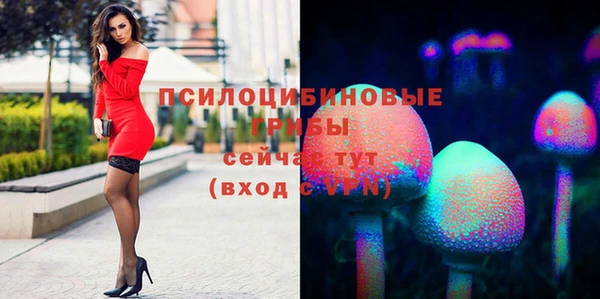 ПСИЛОЦИБИНОВЫЕ ГРИБЫ Армянск